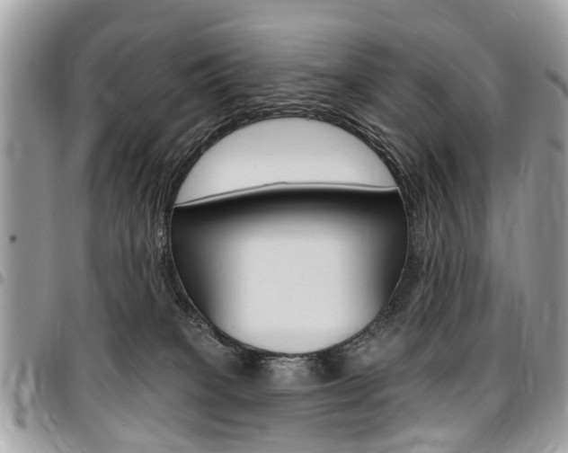 X0000096970085200802080933