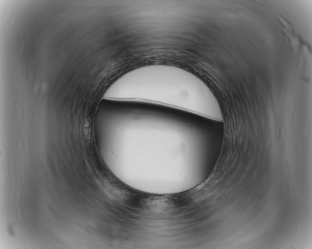 X0000096970086200802080933