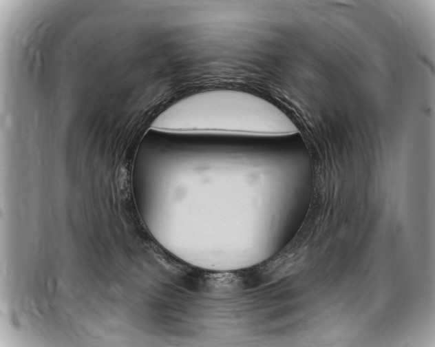 X0000096970087200802080933