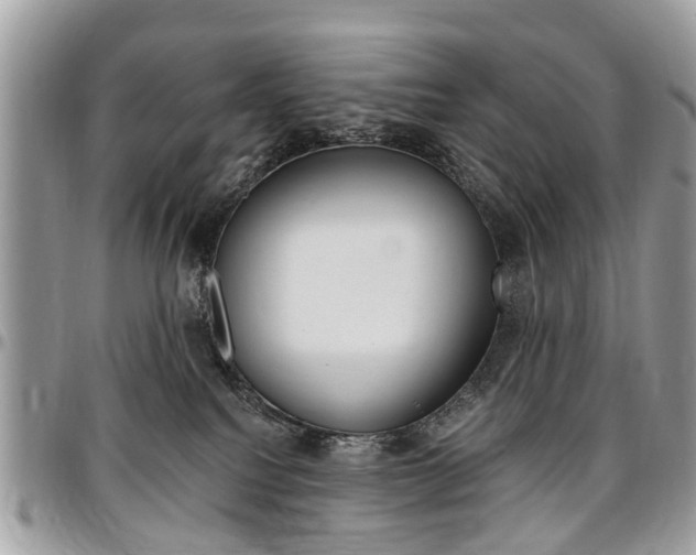 X0000096970088200802080933