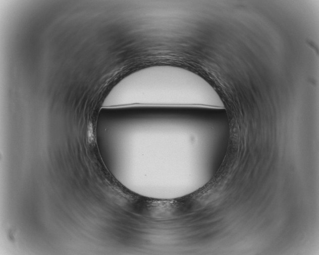 X0000096970089200802080933