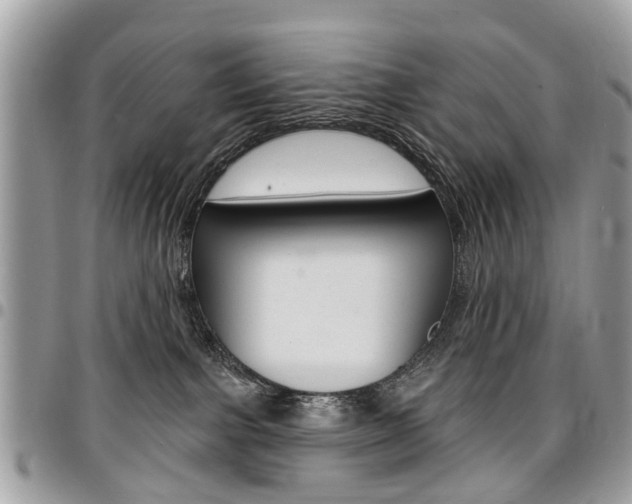 X0000096970091200802080933