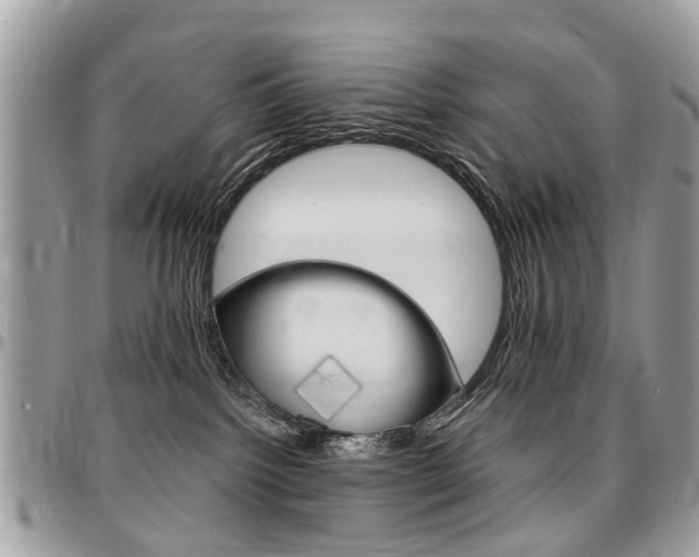 X0000096970092200802080933