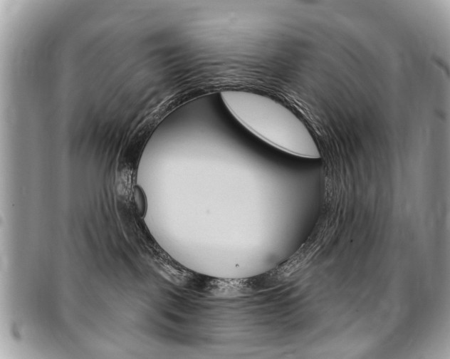 X0000096970093200802080933