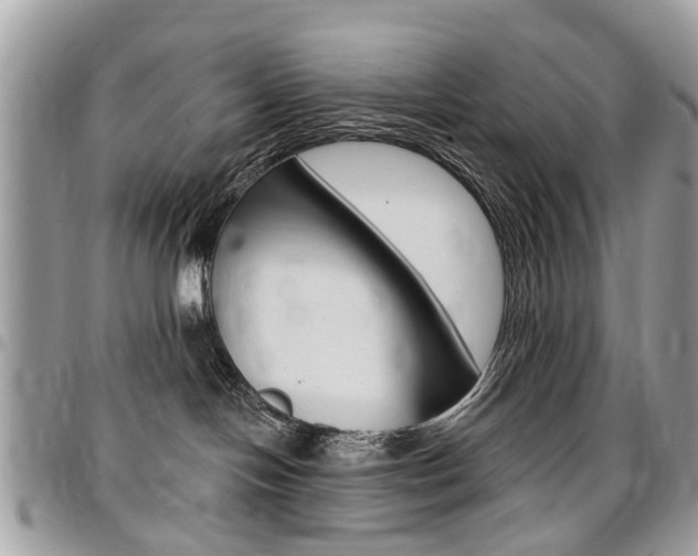 X0000096970094200802080933