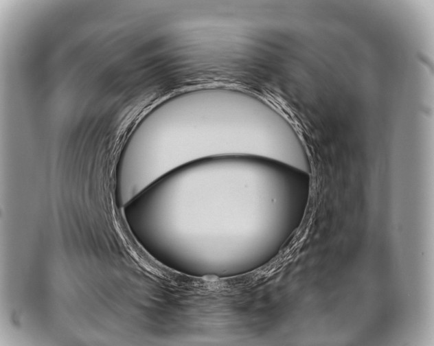 X0000096970097200802080933