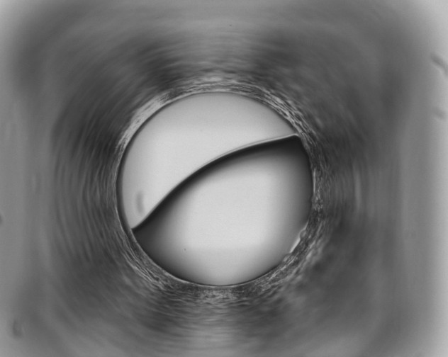 X0000096970099200802080932