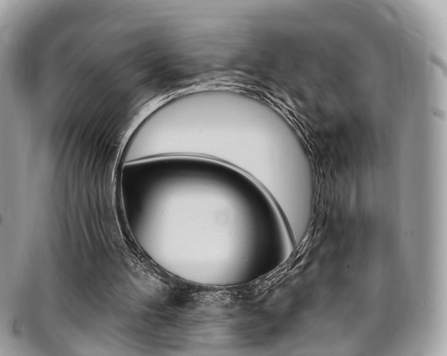 X0000096970100200802080932