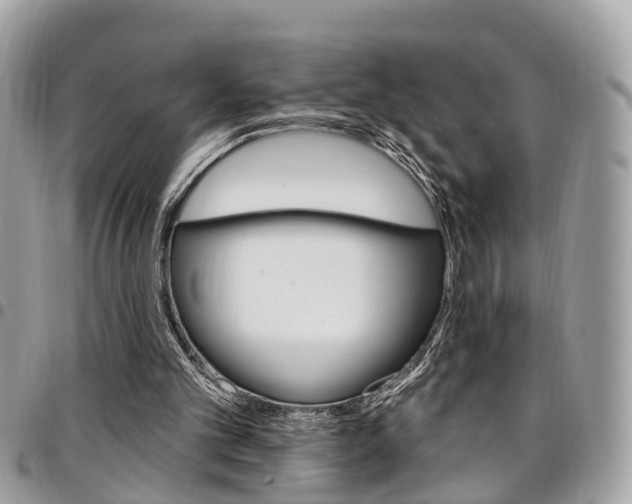 X0000096970101200802080932