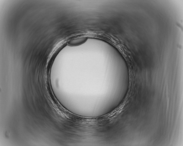 X0000096970102200802080932