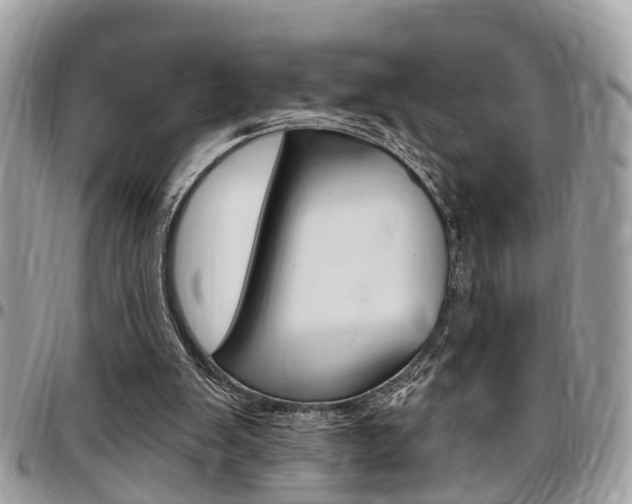 X0000096970103200802080932