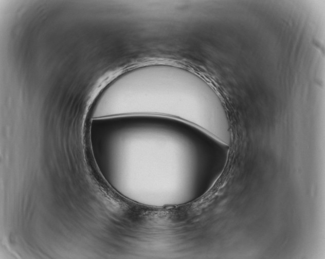 X0000096970104200802080932