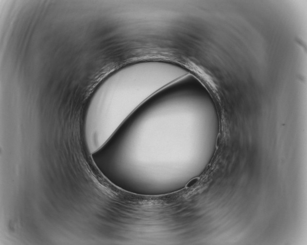 X0000096970105200802080932