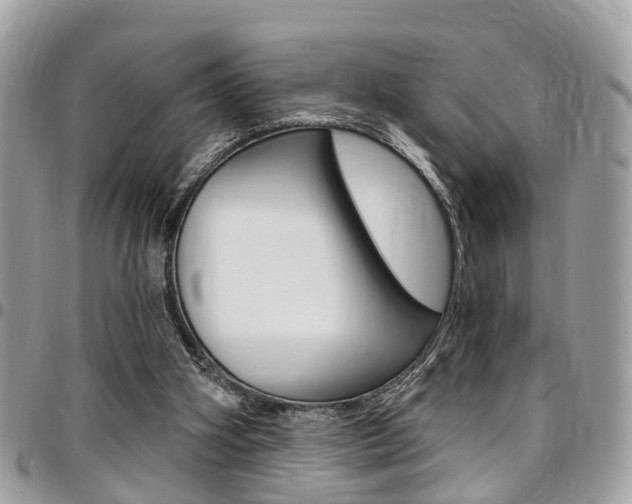 X0000096970106200802080932