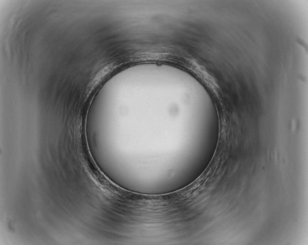 X0000096970107200802080932