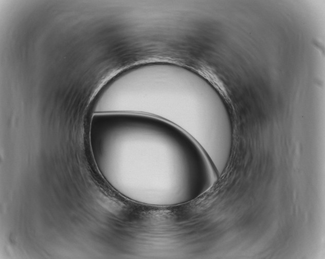 X0000096970108200802080932