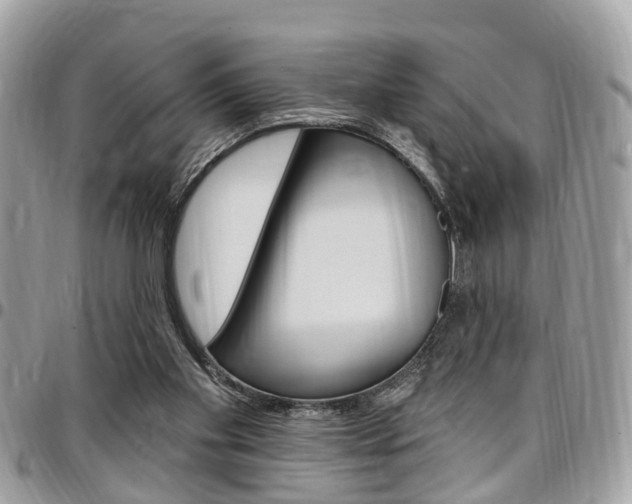 X0000096970109200802080932