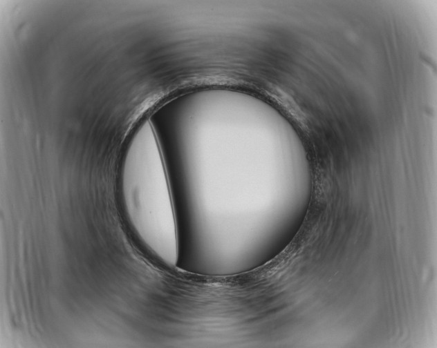 X0000096970111200802080932