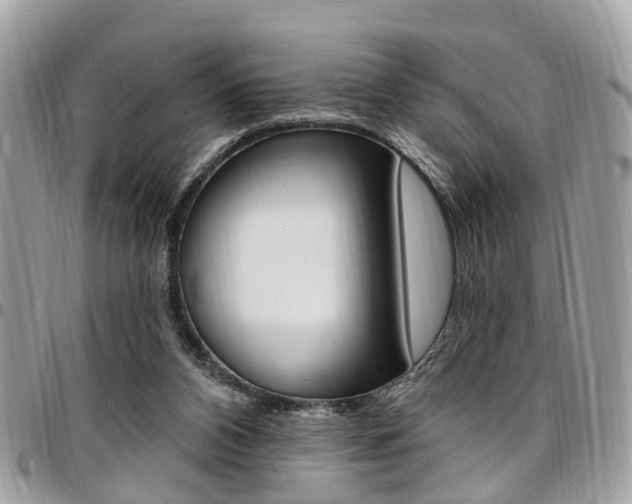 X0000096970112200802080932