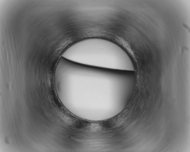 X0000096970114200802080932