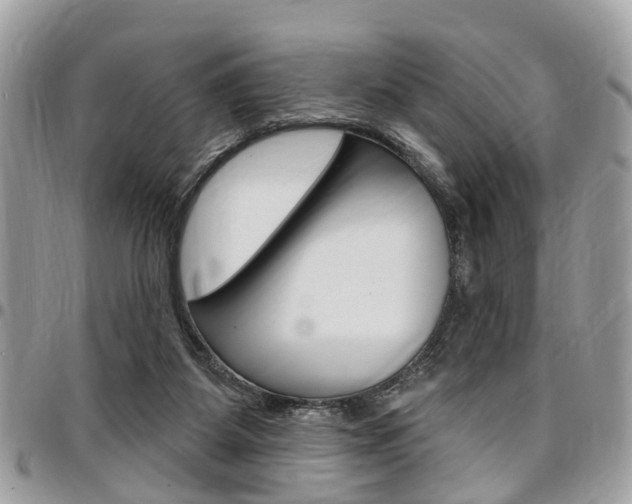 X0000096970115200802080932