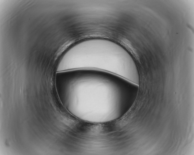 X0000096970116200802080932