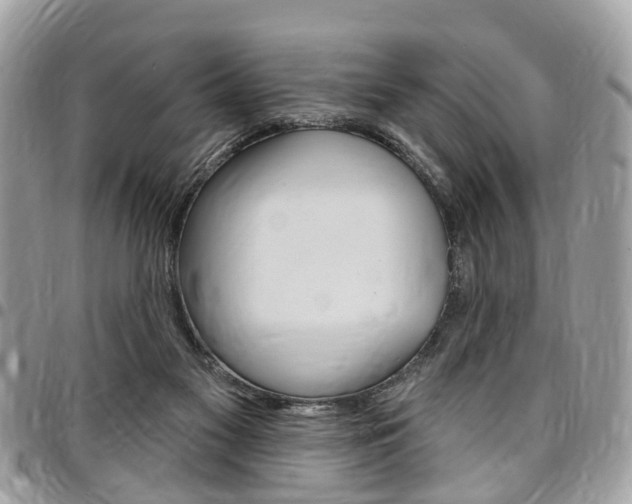 X0000096970117200802080932