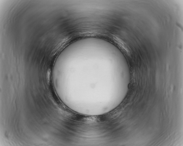 X0000096970118200802080932