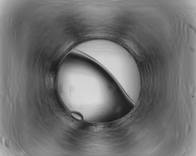 X0000096970120200802080932