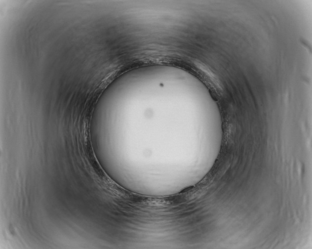 X0000096970121200802080932
