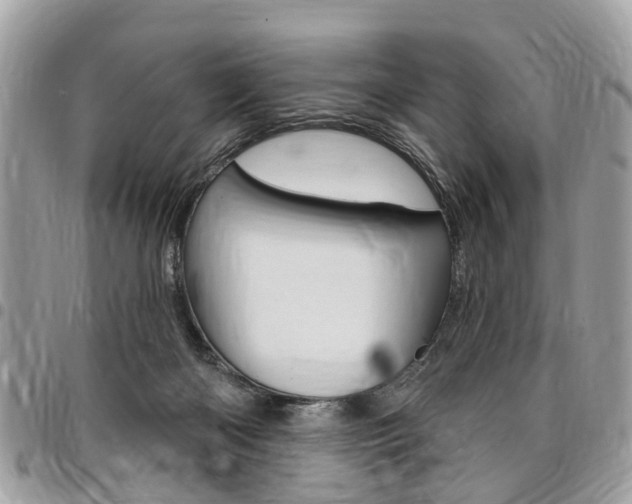 X0000096970122200802080932
