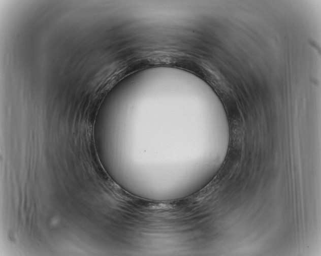 X0000096970125200802080932