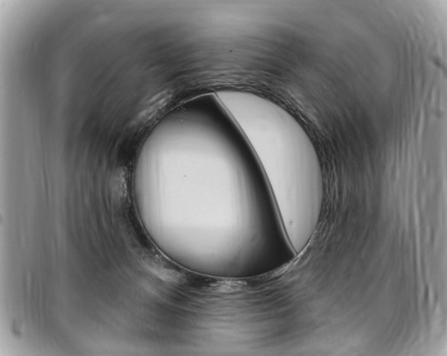 X0000096970128200802080932