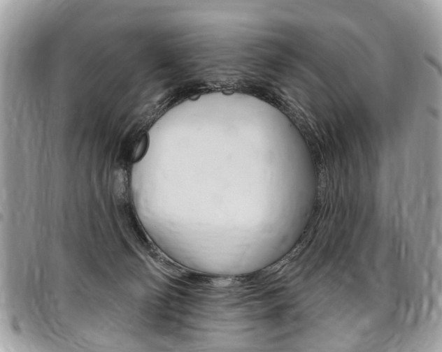 X0000096970130200802080932