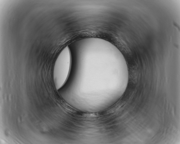 X0000096970131200802080932