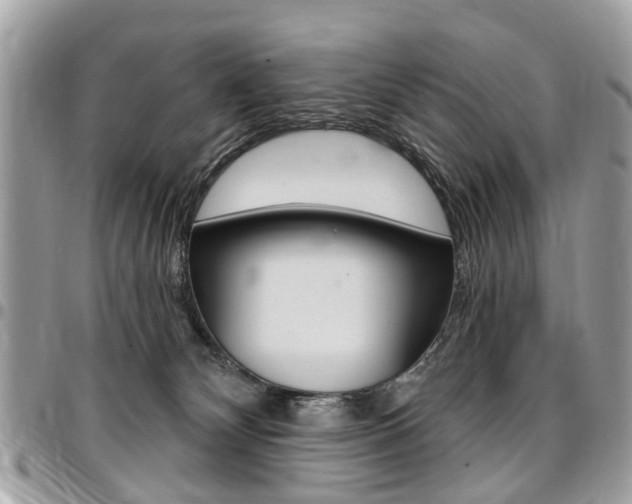 X0000096970132200802080932