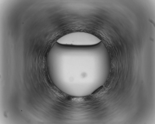 X0000096970133200802080932
