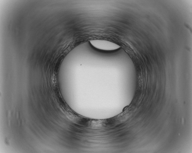 X0000096970134200802080932