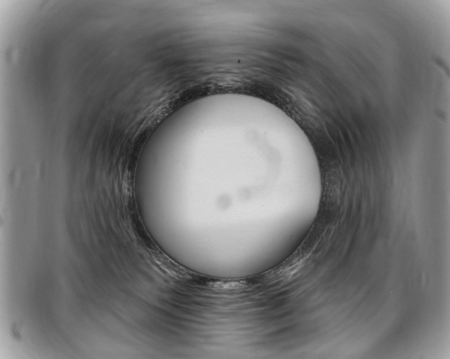 X0000096970135200802080932