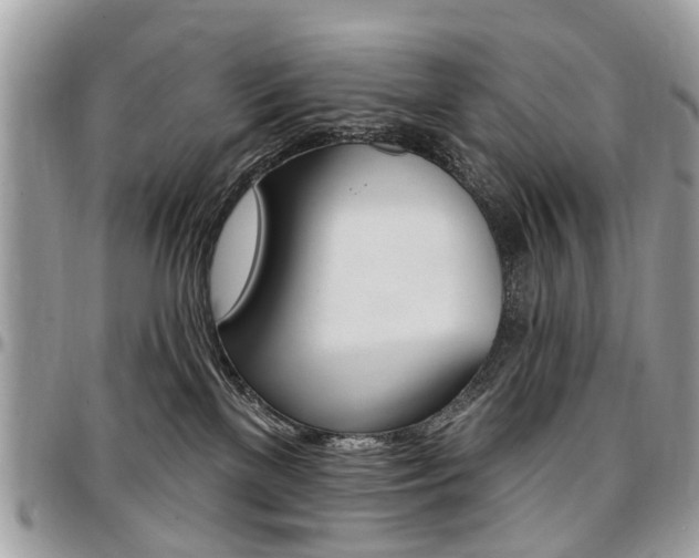 X0000096970137200802080932
