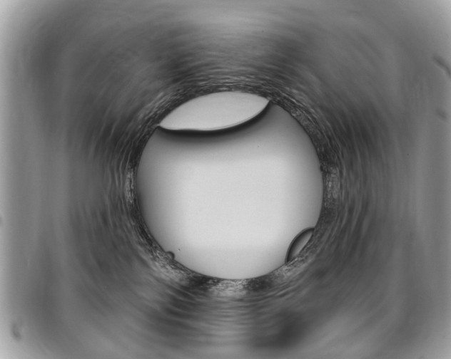 X0000096970138200802080932