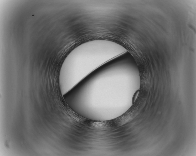 X0000096970139200802080932