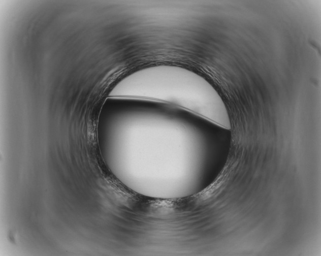 X0000096970140200802080932