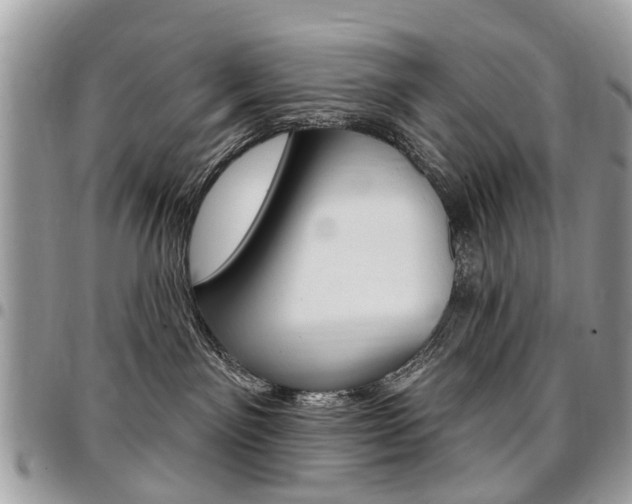 X0000096970141200802080932