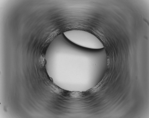 X0000096970142200802080932
