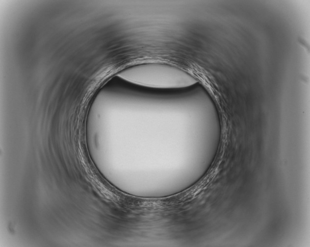 X0000096970145200802080931