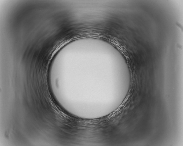 X0000096970146200802080931