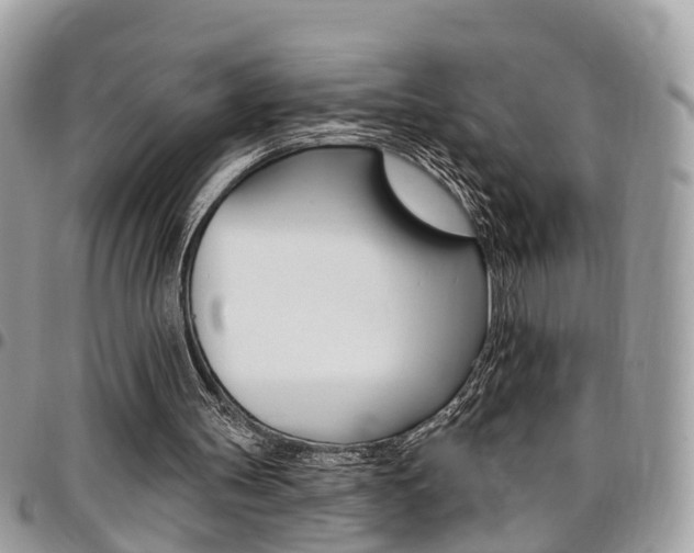 X0000096970147200802080931