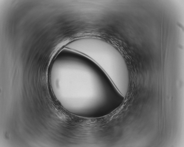 X0000096970148200802080931