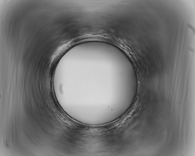 X0000096970149200802080931